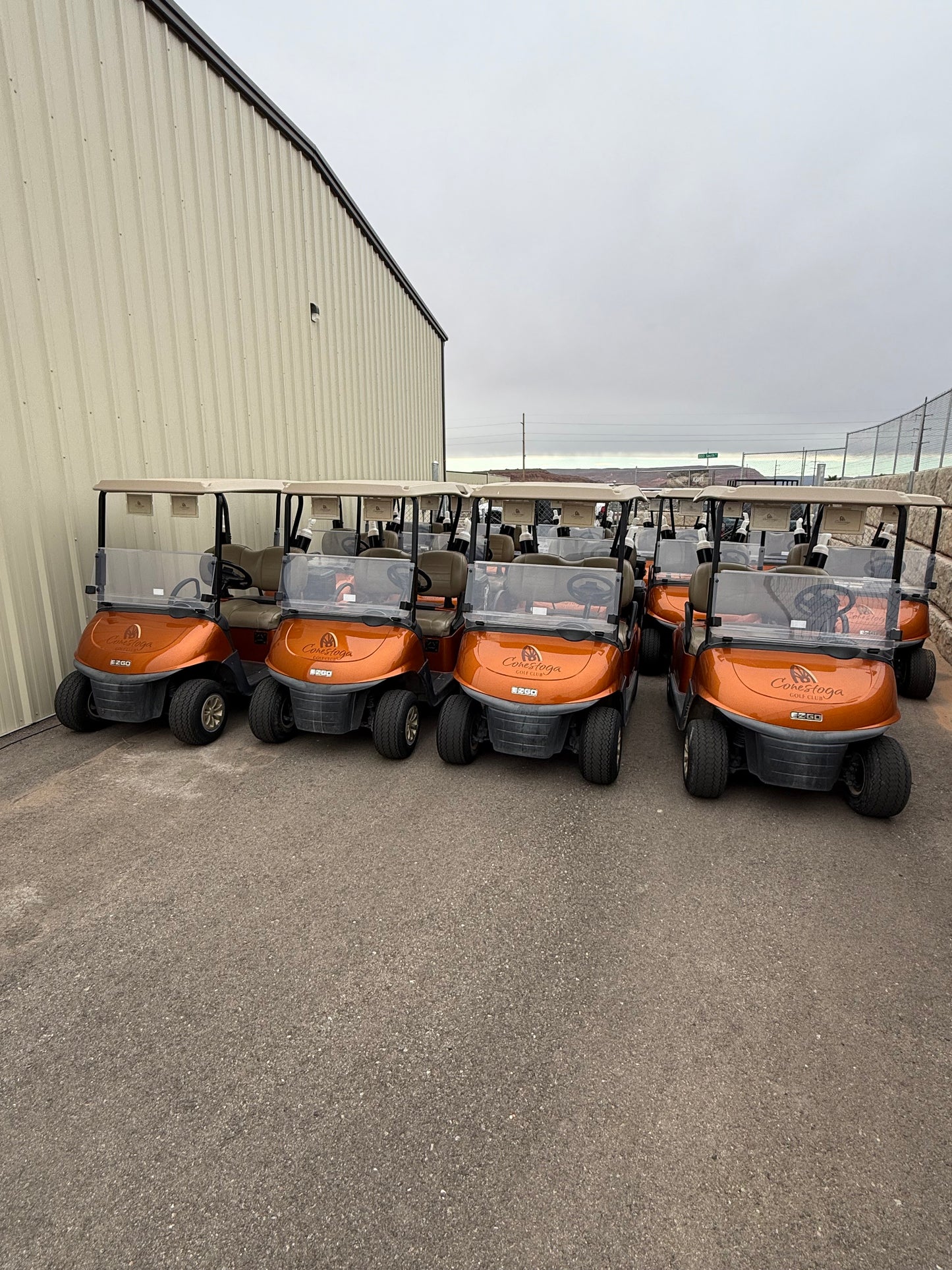 2021 EZ-GO RXV ELITE Lithium Golf Cart