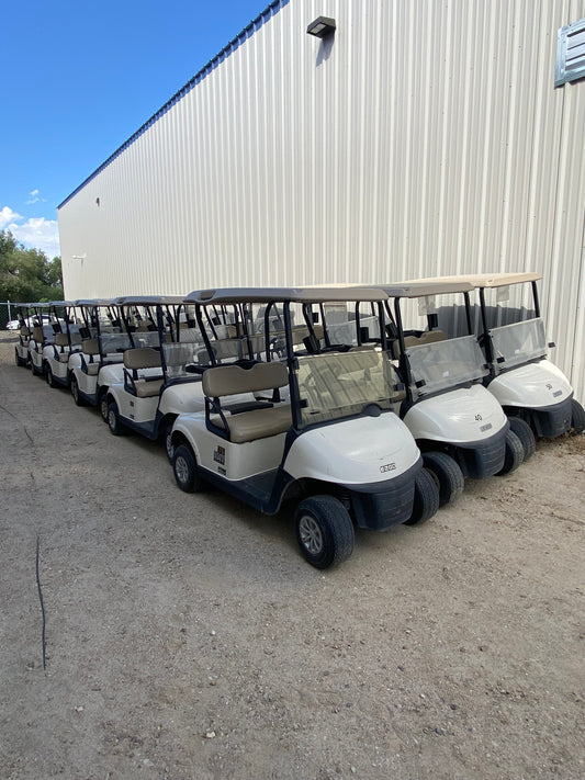 2019 EZGO RXV ELITE