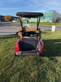 RXV lithium Golf Cart