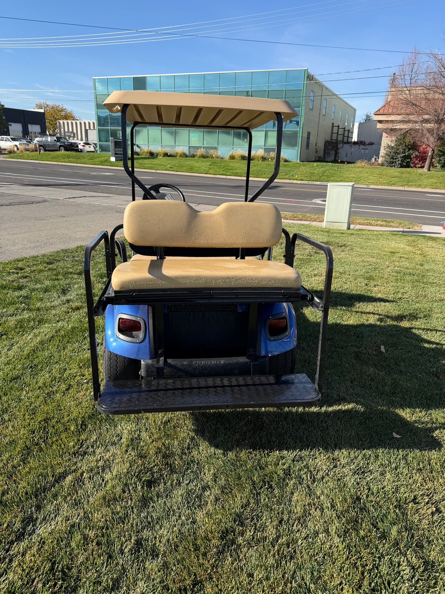 Refurbished Lithium TXT golf cart