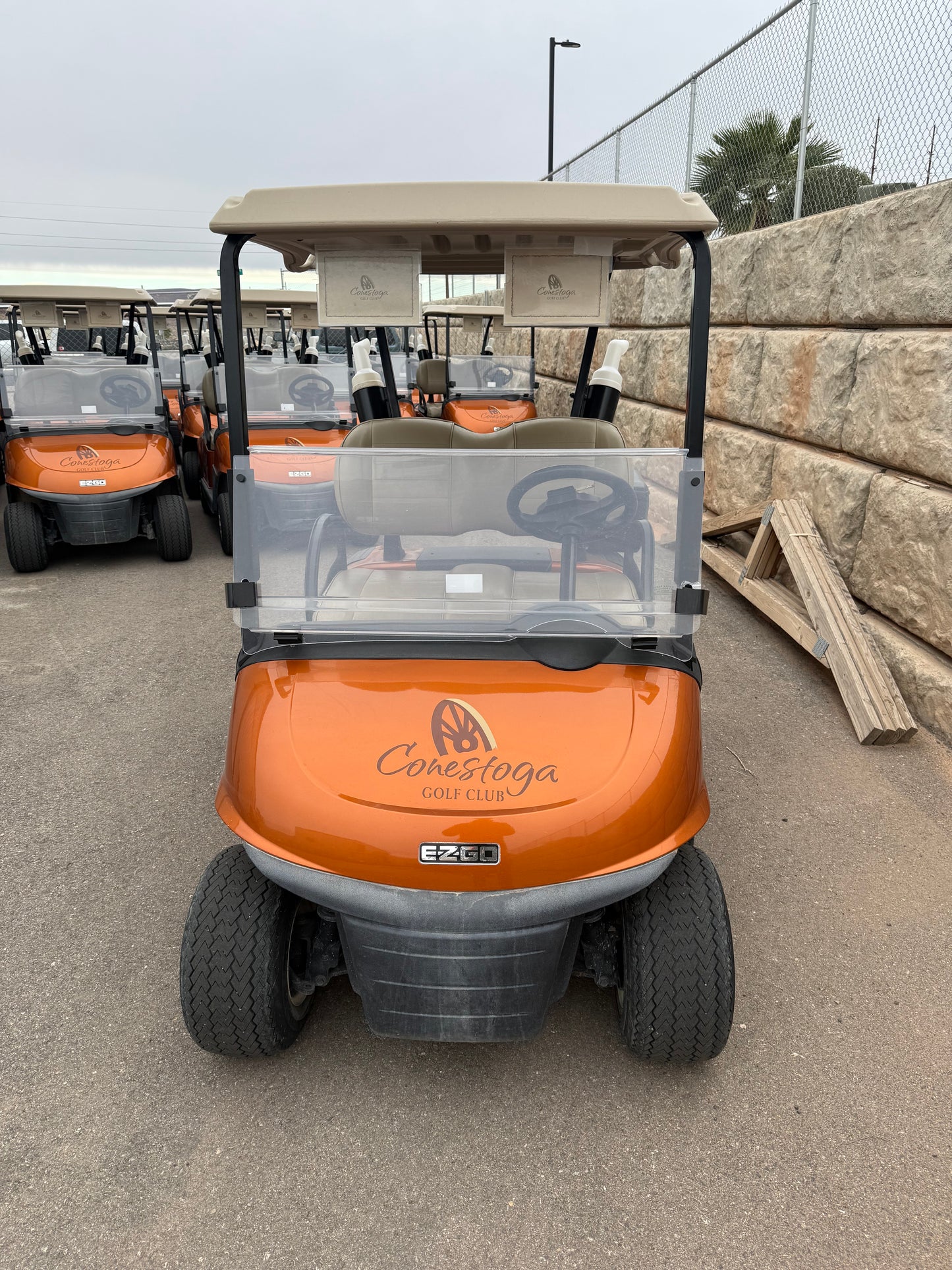2021 EZ-GO RXV ELITE Lithium Golf Cart